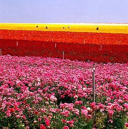 《英雄传说 黎之轨迹2》“隐秘僧兵”预告 年内发售